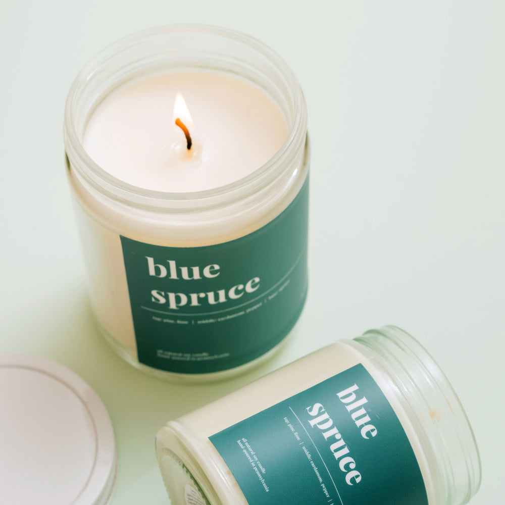 
            
                Load image into Gallery viewer, Blue Spruce Soy Candle - Standard
            
        