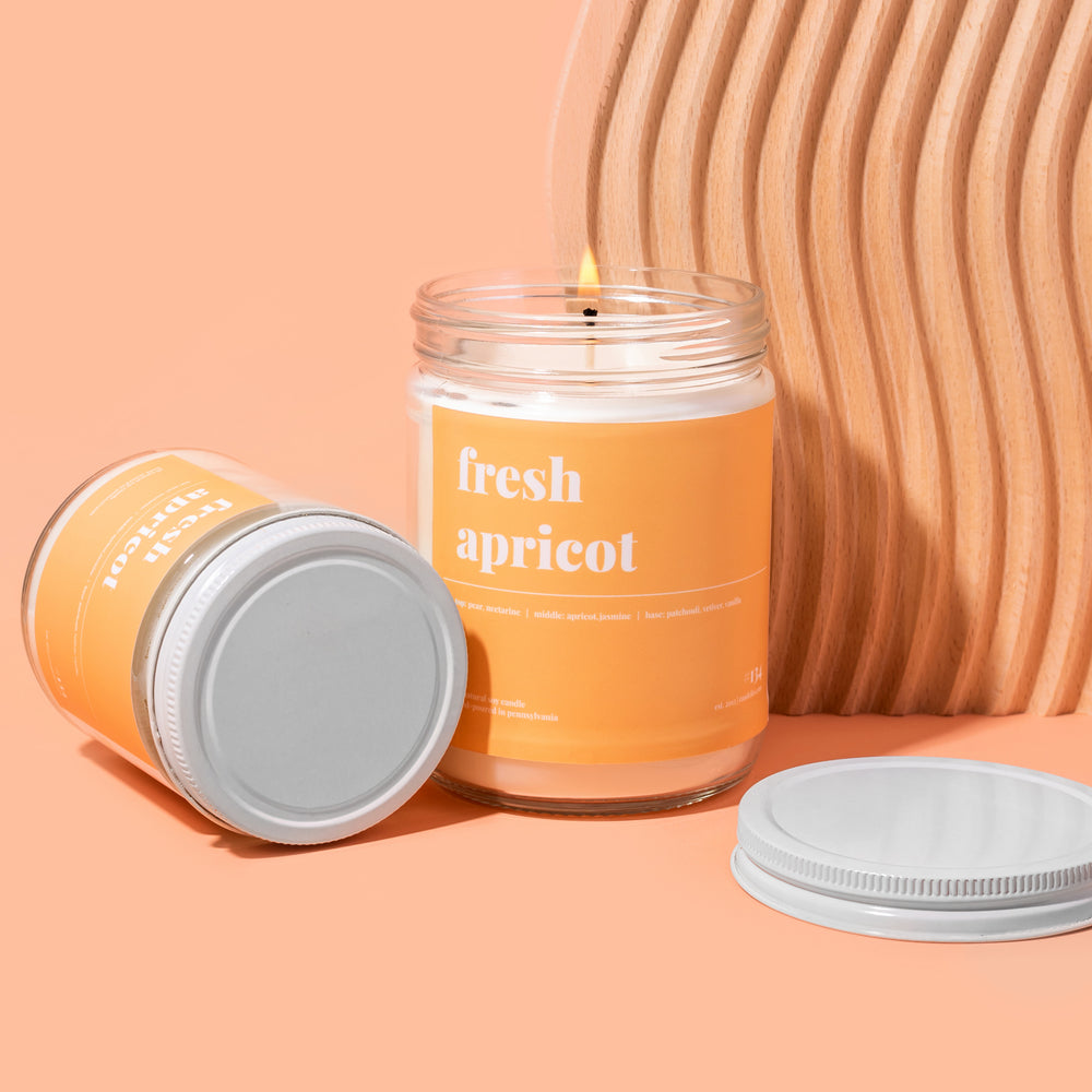 
            
                Load image into Gallery viewer, Fresh Apricot Soy Candle - Petite
            
        