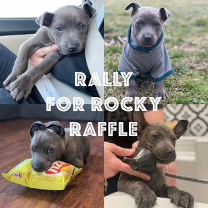 
            
                Load image into Gallery viewer, Rally For Rocky - Raffle Entry
            
        